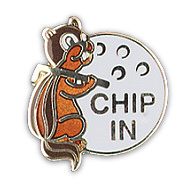 CHIP-IN PINS