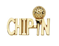 CHIP-INS THE WORD PIN