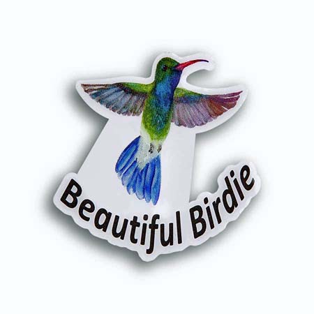 BEAUTIFUL BIRDIE PIN - HUMMING BIRD
